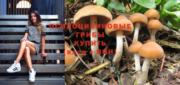 прущая мука Фёдоровский