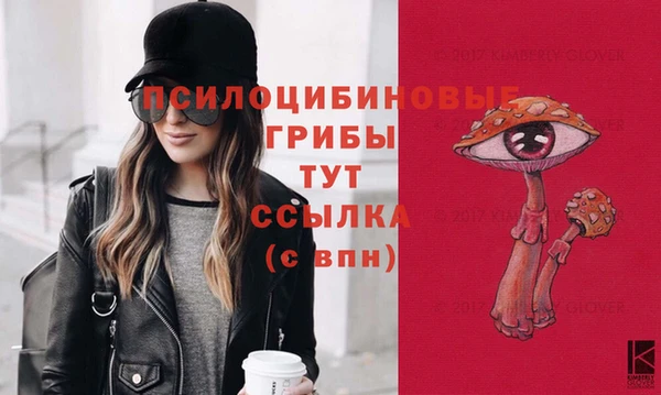 стафф Иннополис