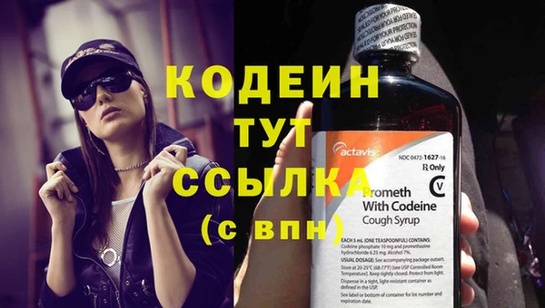 дурь Инсар